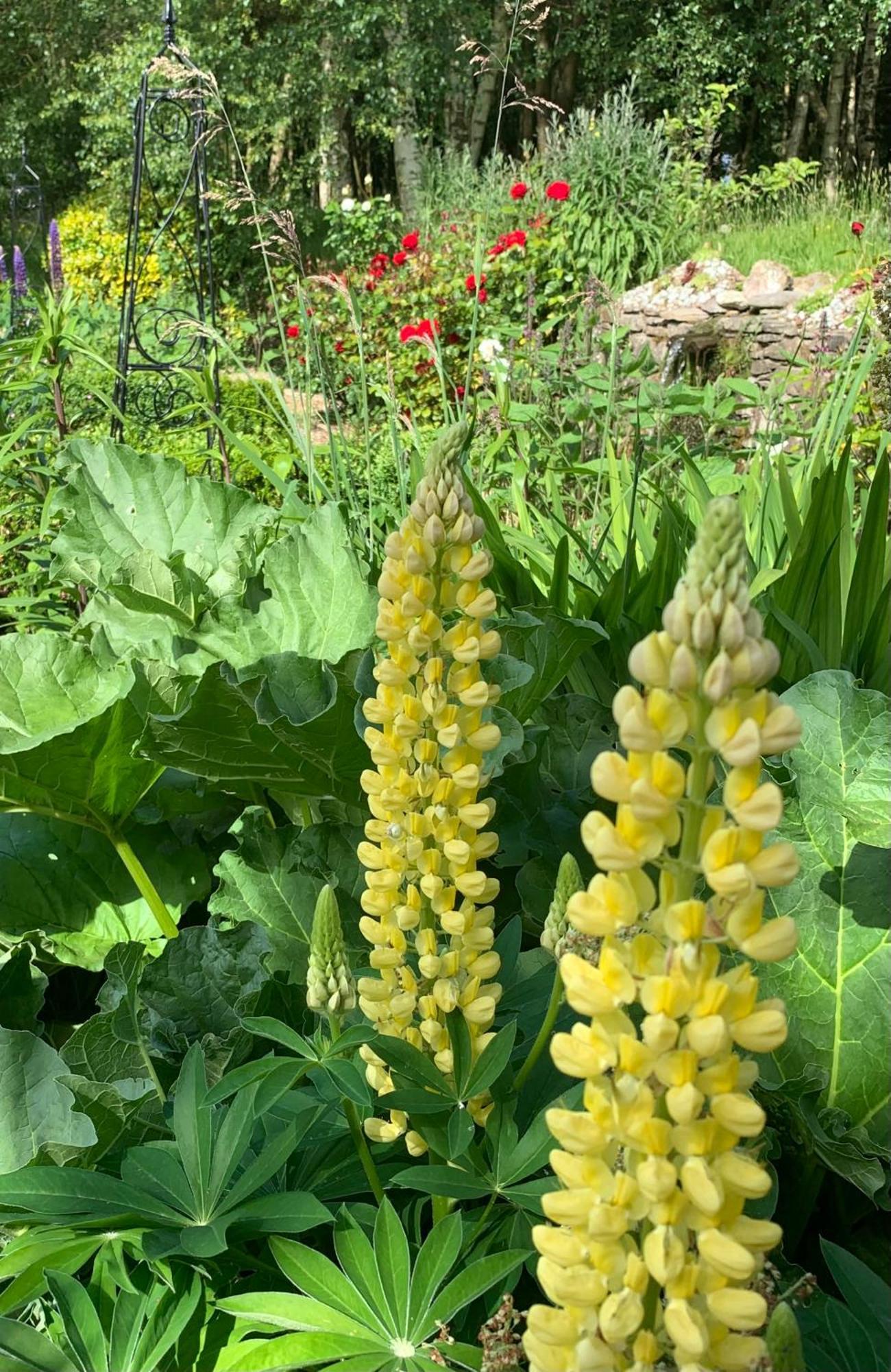 Clone Country House Aughrim Exterior photo Lupinus golden tower